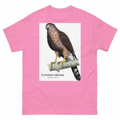 Cooper's Hawk - Unisex classic tee - Image 12