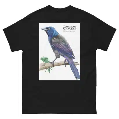 Common Grackle - Unisex classic tee - Image 2