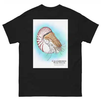 Chambered Nautilus - Unisex classic tee - Image 2