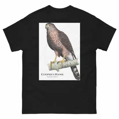 Cooper's Hawk - Unisex classic tee - Image 2