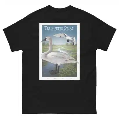 Trumpeter Swan - Unisex classic tee - Image 3