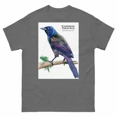 Common Grackle - Unisex classic tee - Image 6