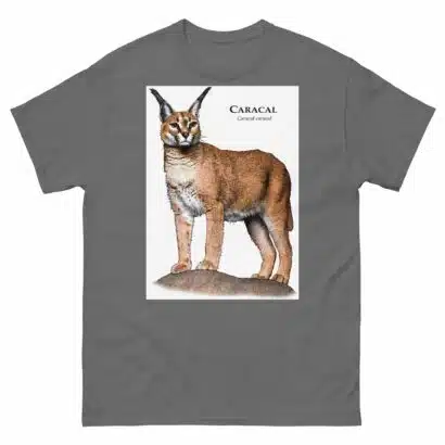 Caracal - Unisex classic tee - Image 6