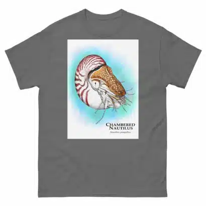 Chambered Nautilus - Unisex classic tee - Image 6