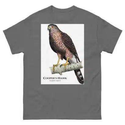 Cooper's Hawk - Unisex classic tee - Image 6