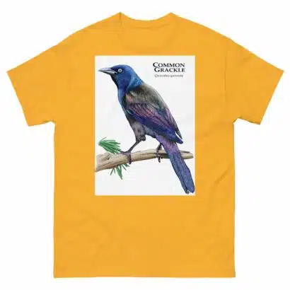 Common Grackle - Unisex classic tee - Image 14