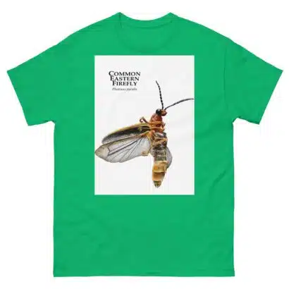 Common Eastern Firefly - Unisex classic tee - Image 10