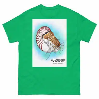 Chambered Nautilus - Unisex classic tee - Image 10