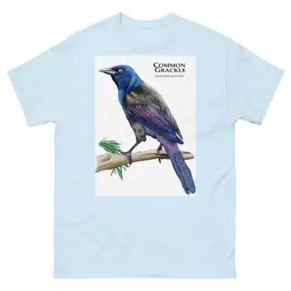 Common Grackle - Unisex classic tee - Image 18