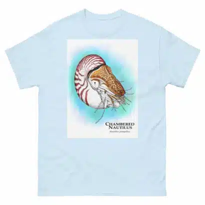 Chambered Nautilus - Unisex classic tee - Image 18