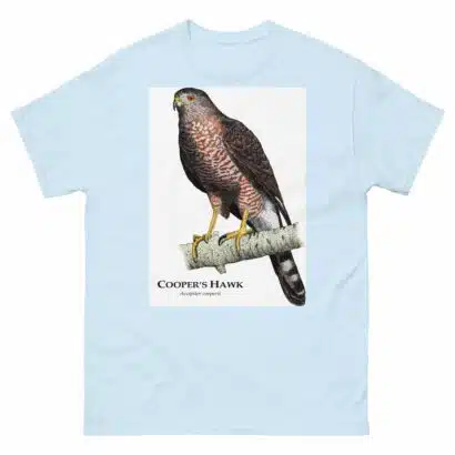 Cooper's Hawk - Unisex classic tee - Image 18