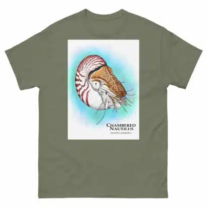 Chambered Nautilus - Unisex classic tee - Image 8
