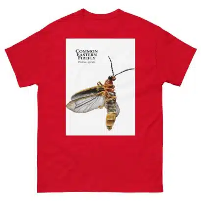 Common Eastern Firefly - Unisex classic tee - Image 4