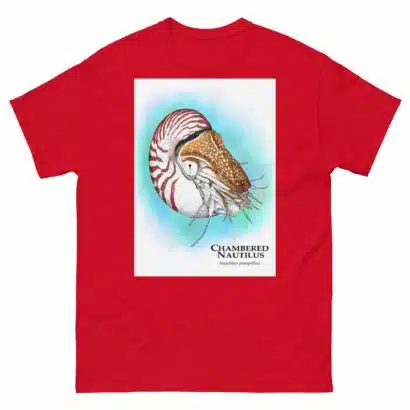 Chambered Nautilus - Unisex classic tee - Image 4