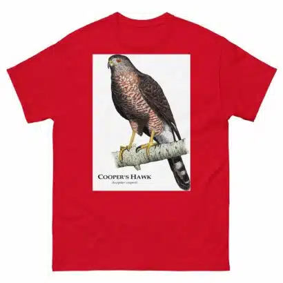 Cooper's Hawk - Unisex classic tee - Image 4