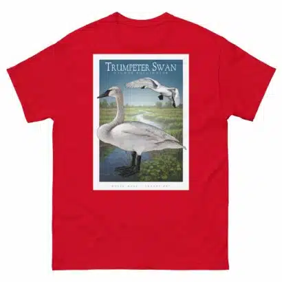 Trumpeter Swan - Unisex classic tee - Image 4