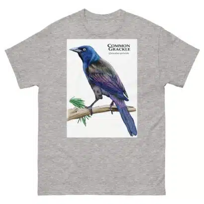 Common Grackle - Unisex classic tee - Image 16