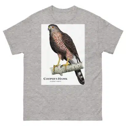 Cooper's Hawk - Unisex classic tee - Image 16