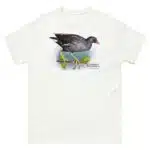 Common Moorhen - Unisex classic tee