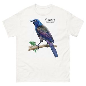 Common Grackle - Unisex classic tee