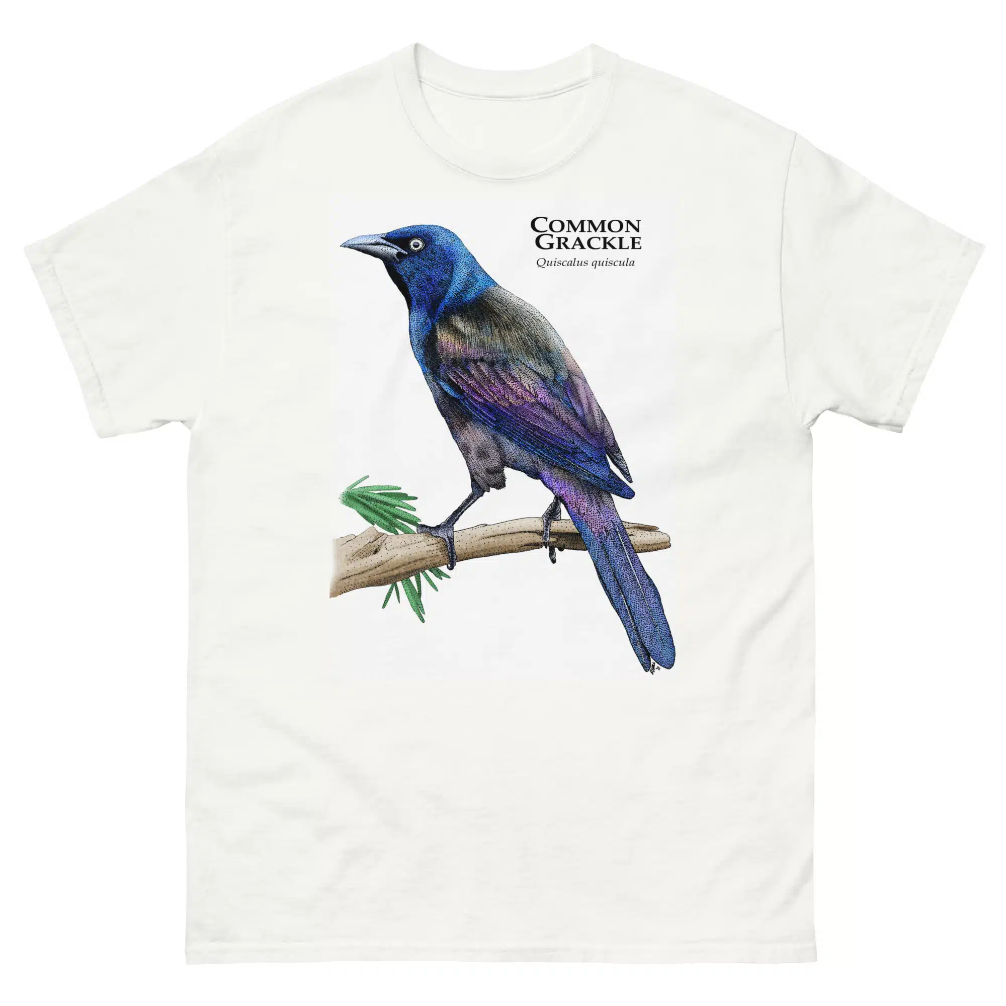 unisex-classic-tee-white-front-67a2b50e31f36.jpg Common Grackle - Unisex classic tee - Image 1