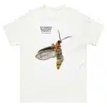 Common Eastern Firefly - Unisex classic tee