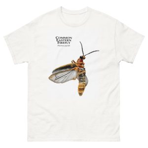 Common Eastern Firefly - Unisex classic tee