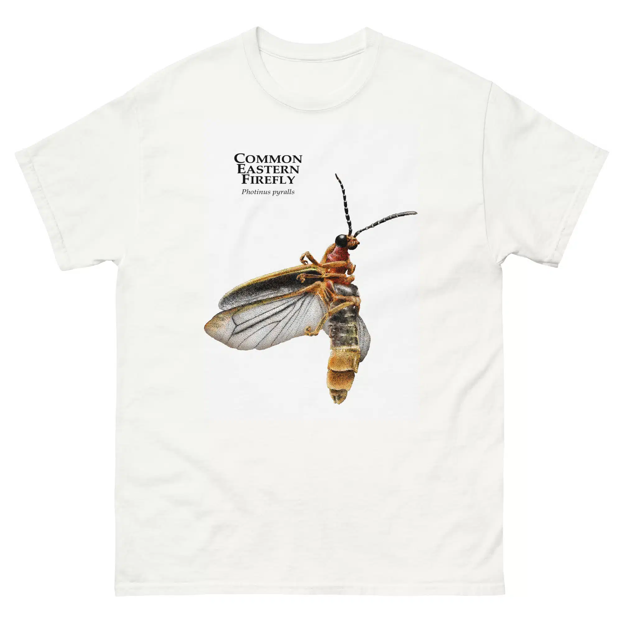 unisex-classic-tee-white-front-67a562cc3f3cb.jpg Common Eastern Firefly - Unisex classic tee - Image 1
