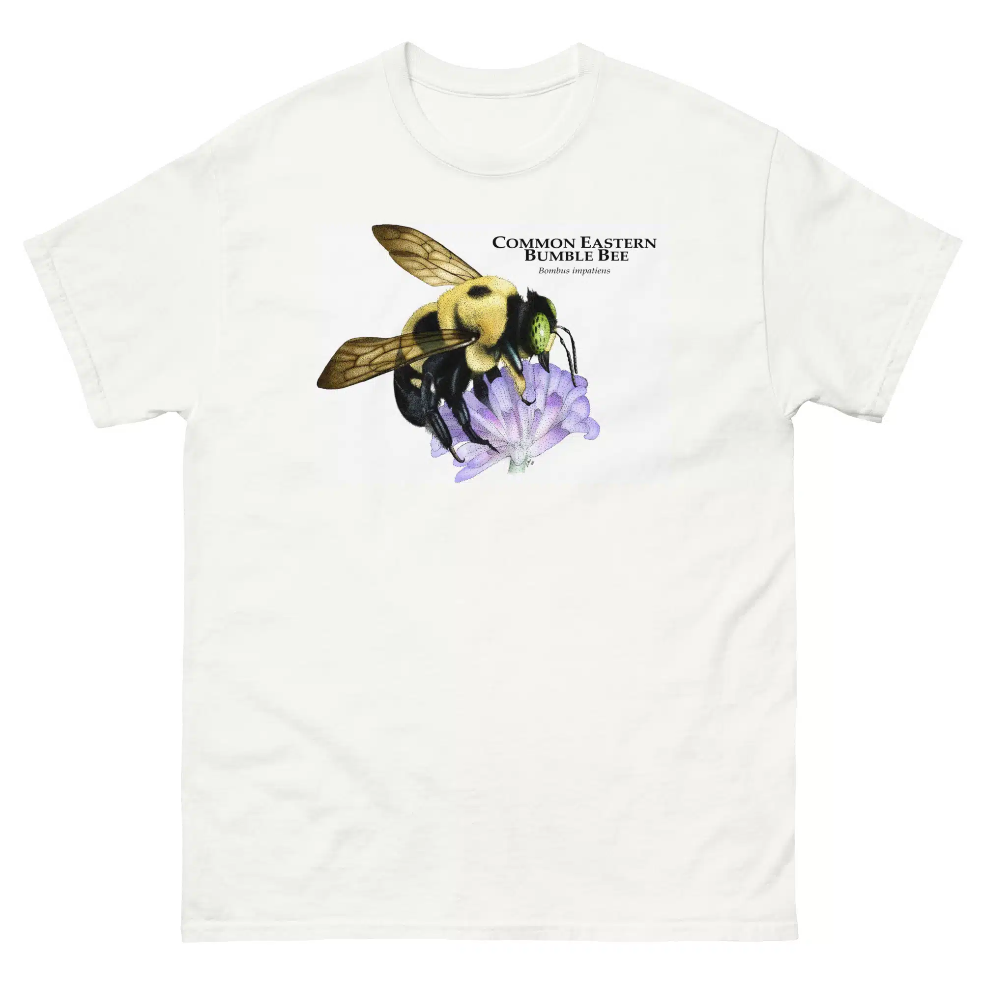unisex-classic-tee-white-front-67b3996945c25.jpg Common Eastern Bumble Bee - Unisex classic tee - Image 1