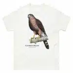 Cooper's Hawk - Unisex classic tee
