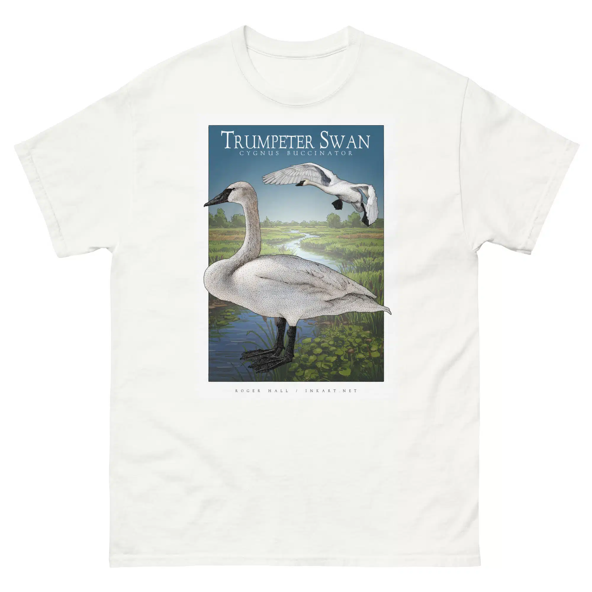 Trumpeter Swan unisex-classic-tee-white Fine art illustration of a Trumpeter Swan printed on a high-quality 100% unisex cotton t-shirt.