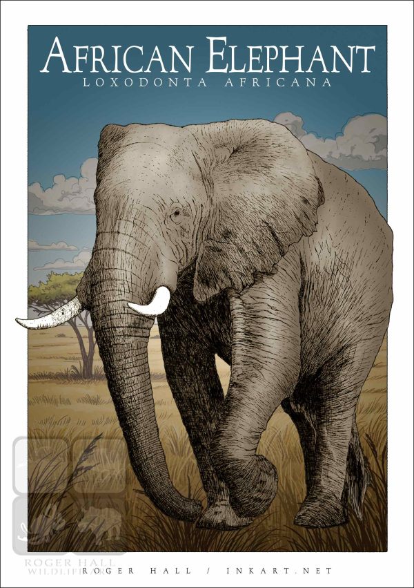 African Elephant - Unisex classic tee - Image 2