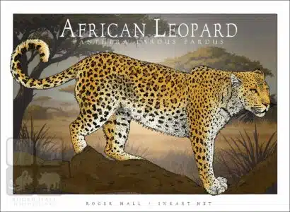 African Leopard - Unisex classic tee - Image 2