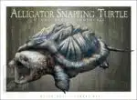 Alligator Snapping Turtle - Unisex classic tee - Image 2