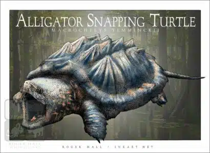 Alligator Snapping Turtle - Unisex classic tee - Image 2