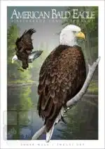 American Bald Eagle - Unisex classic tee - Image 2