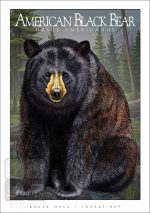 American Black Bear - Unisex classic tee - Image 2