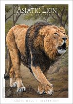 Asiatic Lion - Unisex classic tee - Image 2