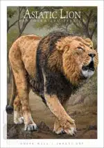 Asiatic Lion - Unisex classic tee - Image 2