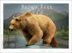 Brown Bear - Unisex classic tee - Image 2