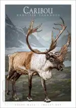 Caribou - Unisex classic tee - Image 2