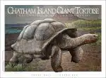 Chatham Island Giant Tortoise - Unisex classic tee - Image 2