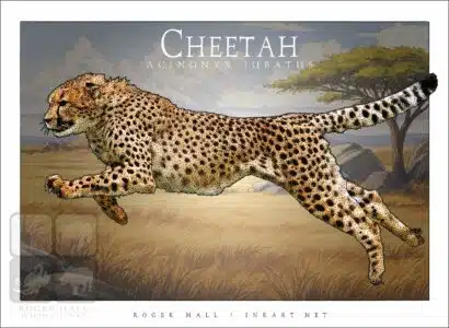 Cheetah - Unisex classic tee - Image 2