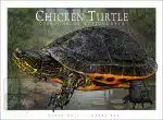 Chicken Turtle - Unisex classic tee - Image 2