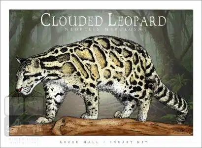 Clouded Leopard - Unisex classic tee - Image 2