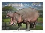Common Hippopotamus - Unisex classic tee - Image 2