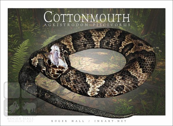 Cottonmouth - Unisex classic tee - Image 2