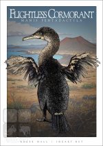 Flightless Cormorant - Unisex classic tee - Image 2