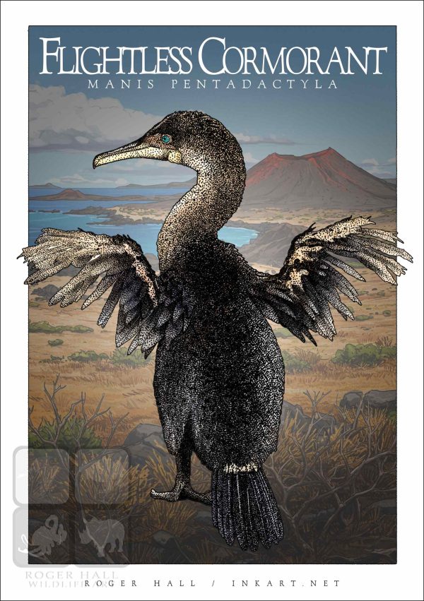 Flightless Cormorant - Unisex classic tee - Image 2