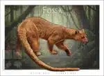 Fossa - Unisex classic tee - Image 2
